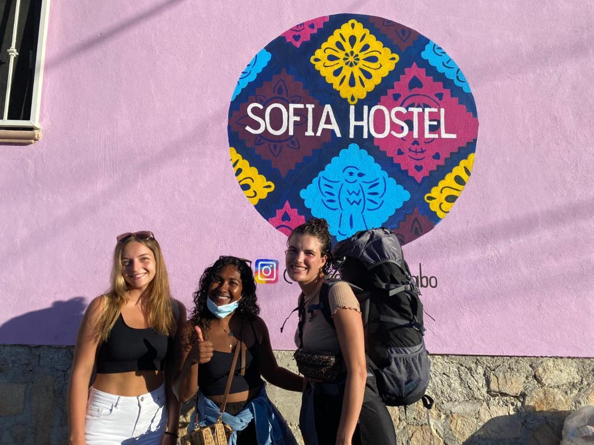 קאבו סן לוקאס Sofia Hostel Cabo מראה חיצוני תמונה